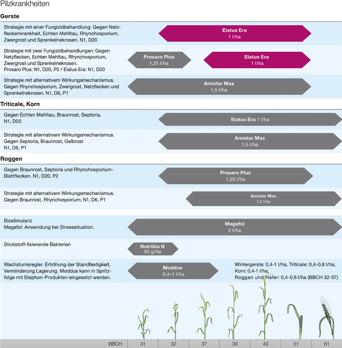 Elatus Era Gerste, Triticale, Roggen