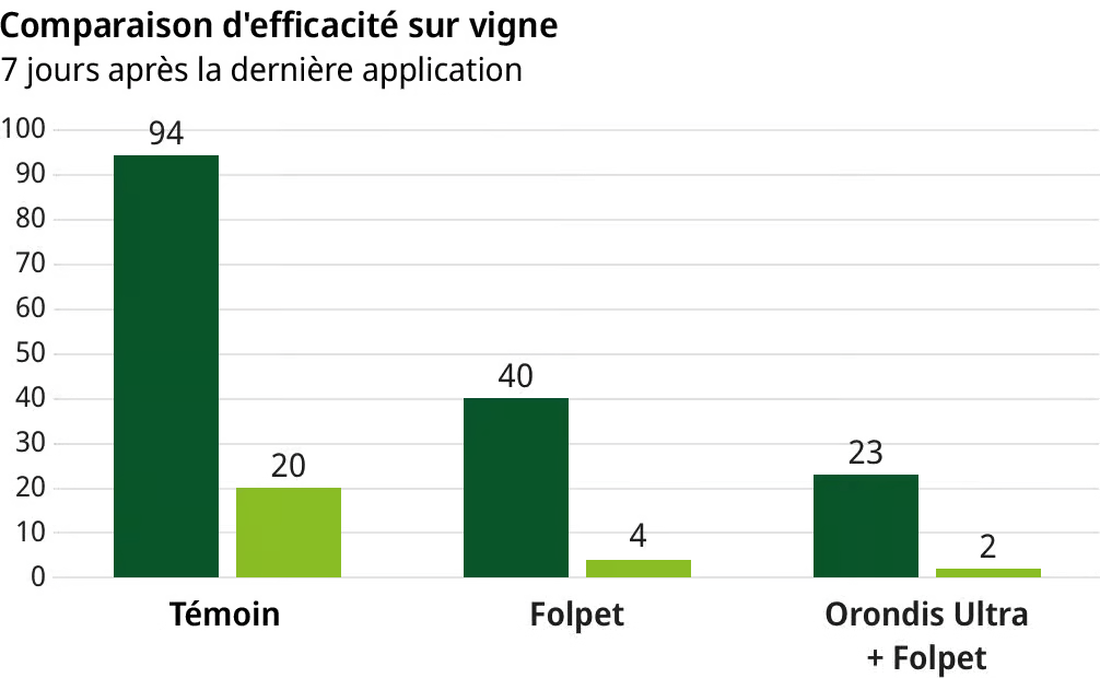 Comparaison d’efficacité Orondis Ultra sur vigne