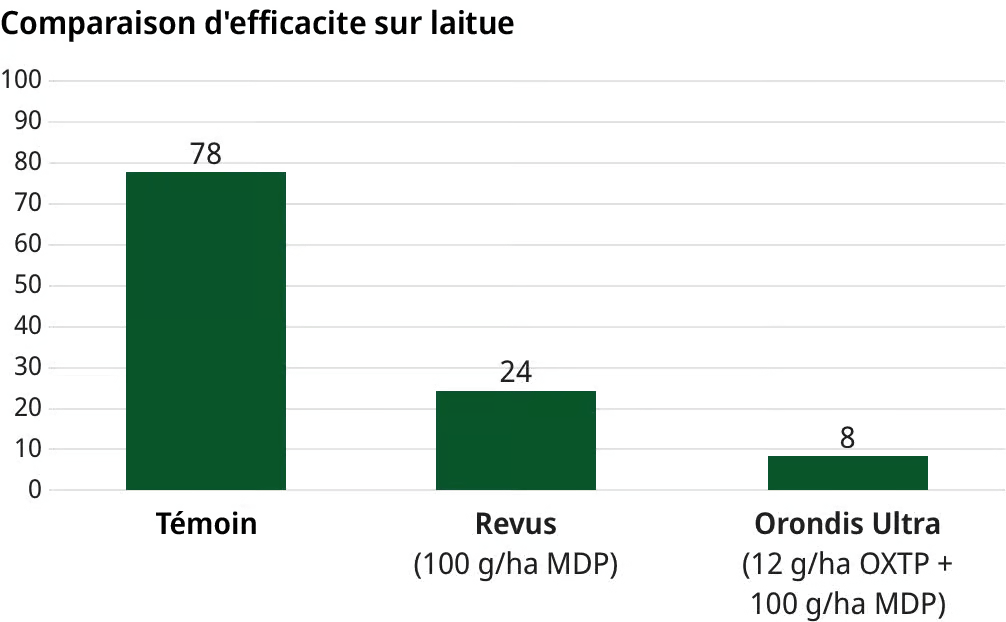 Comparaison d’efficacité Orondis Ultra sur laitue