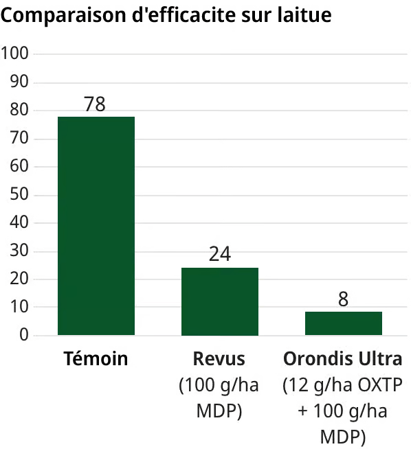 Comparaison d’efficacité Orondis Ultra sur laitue
