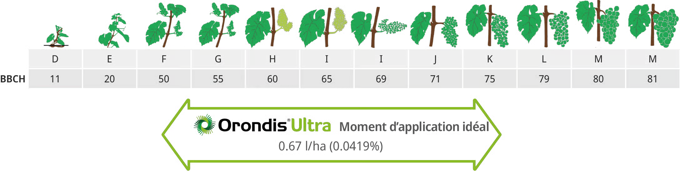 Recommandation d'utilisation Orondis Ultra en viticulture