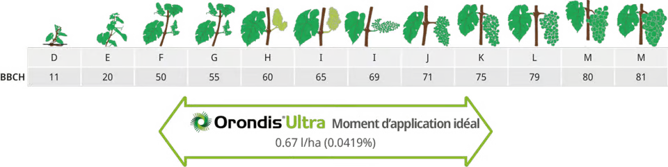Recommandation d'utilisation Orondis Ultra en viticulture