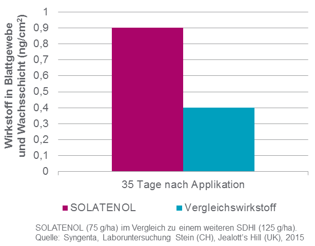 Langanhaltende Wirkungsdauer von SOLATENOL im Blattgewebe
