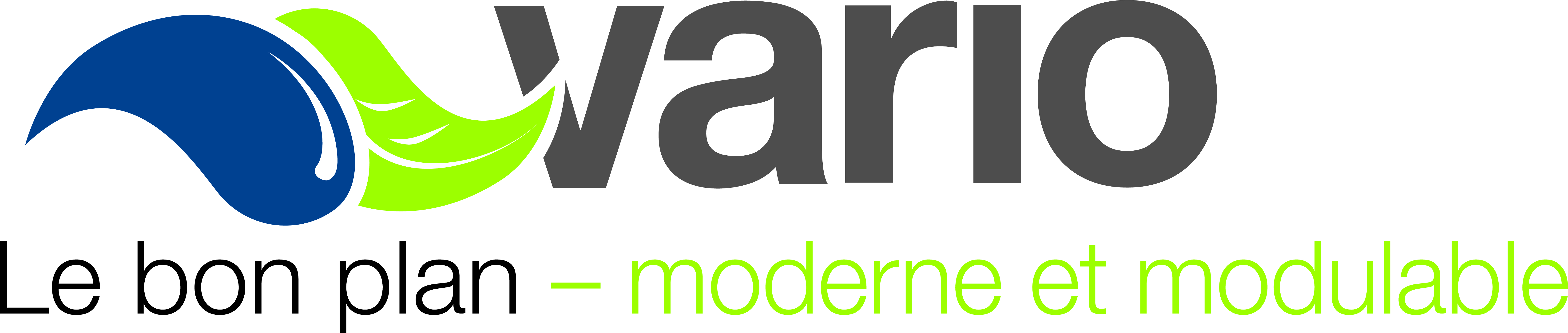 vario_logo_svg_2-svg