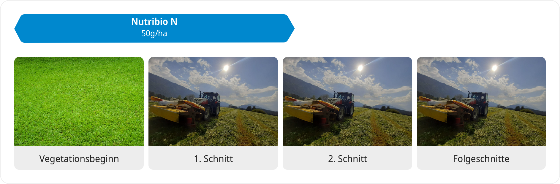 Anwendungsempfehlung für Tomaten