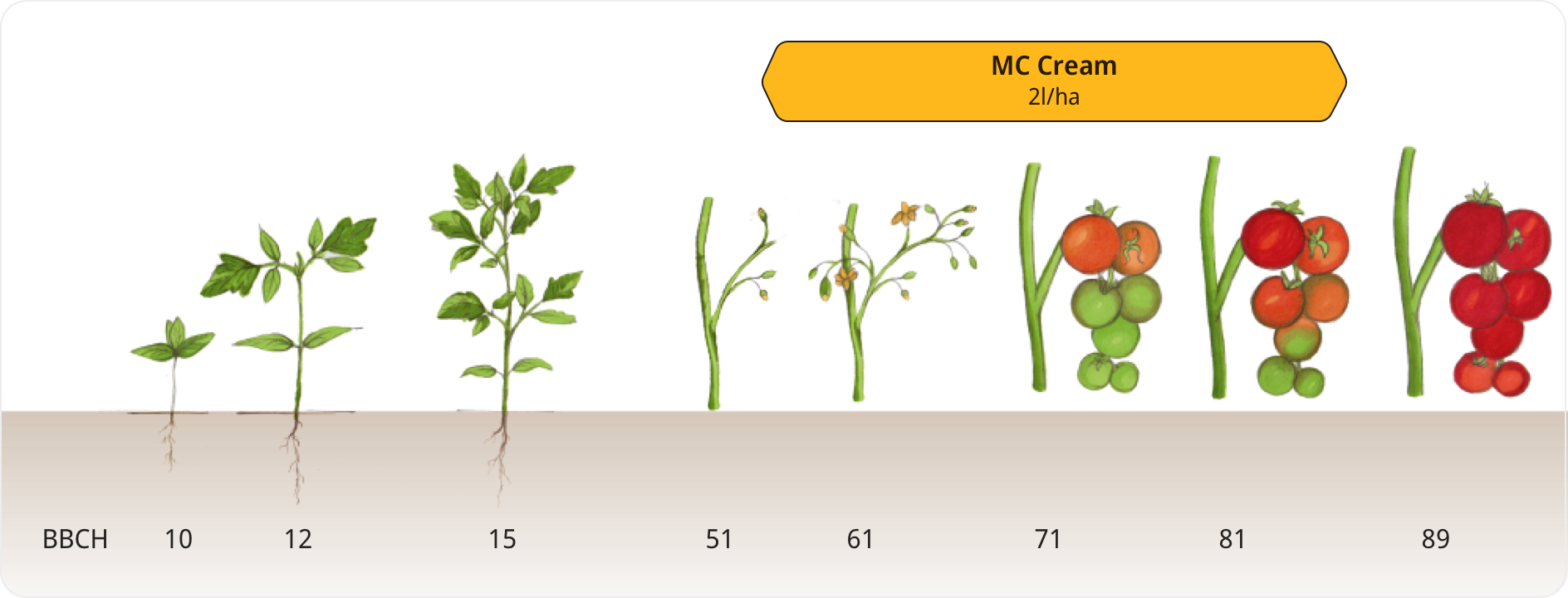 Anwendungsempfehlung für Tomaten