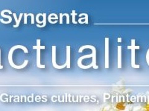 Syngenta Actualités Grandes cultures, Printemps  2022