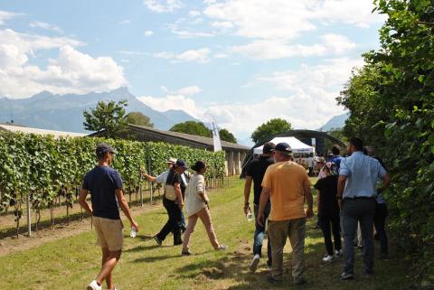 Evénement Syngenta aux Barges 23 août 2018