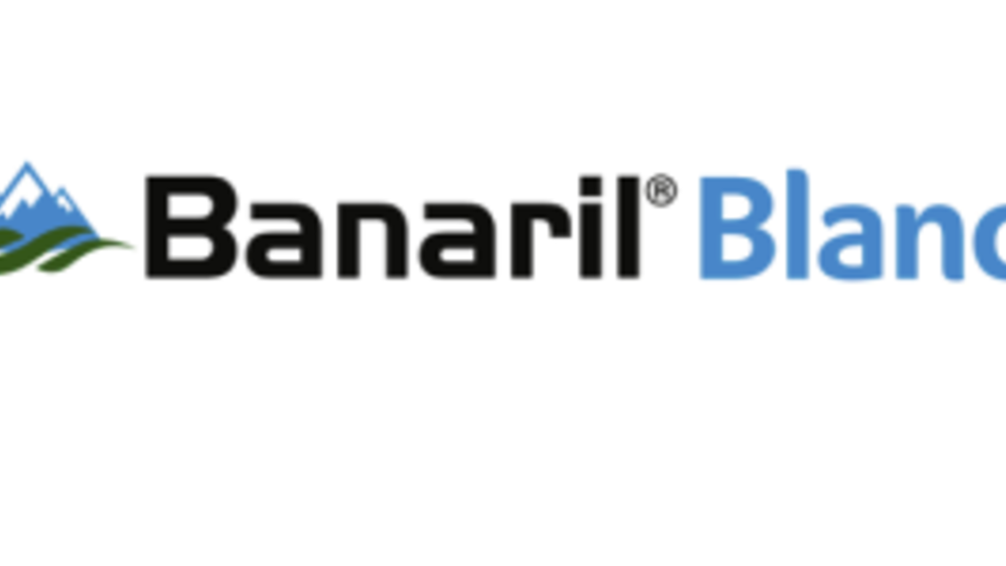 banaril_blanco_logo_360x150.png