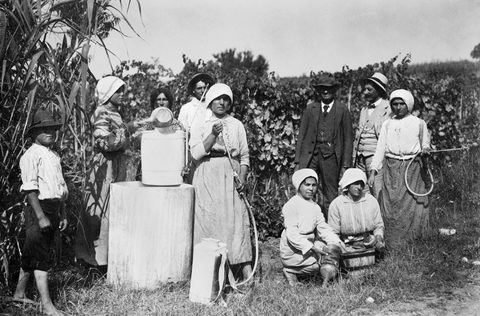 Bauern beim Ausbringen von Pestiziden im Piemont in Italien, 1920