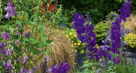 Blumen und Garten