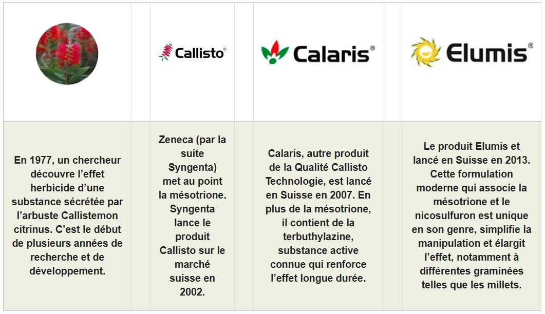 The history of Quality Callisto Technology