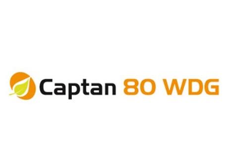 Captan 80 WDG