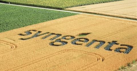 Logo Syngenta Feld
