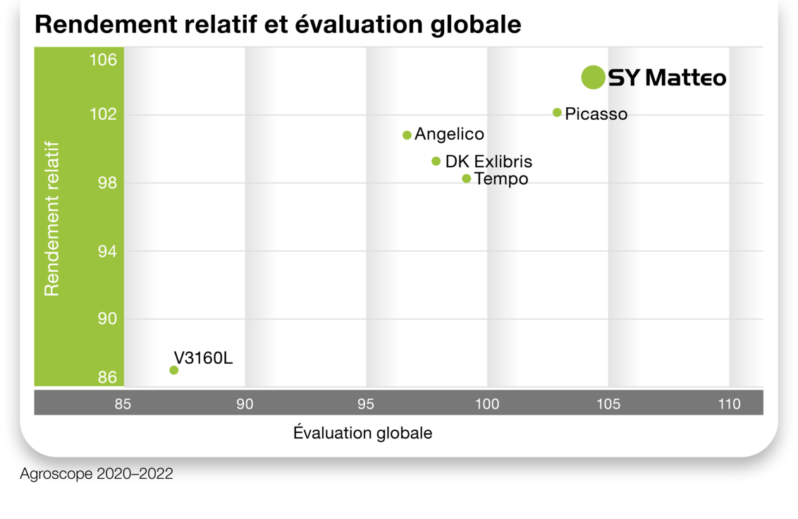 SY Matteo Rendement relatif et évaluation globale
