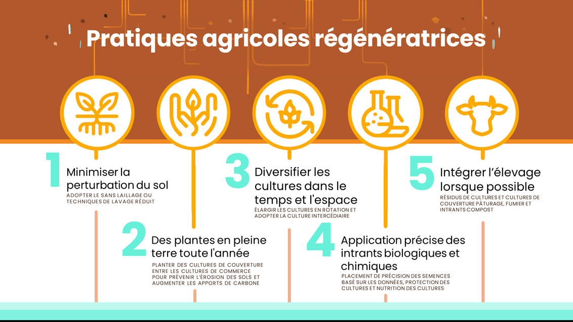 syngenta-group-regenerative-agriculture-infographic_16x9_enwithfrench_slide73.png