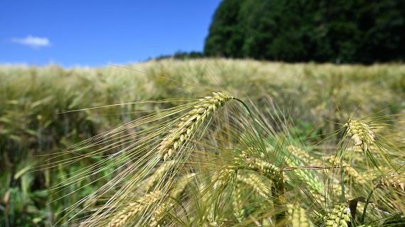 sy_galileoo_570x320