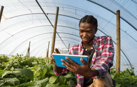 Farmer using tablet in field