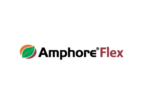 Amphore Flex