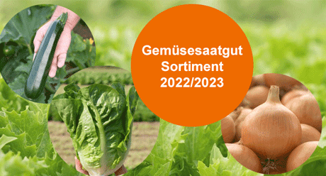 Assortiment de semences de légumes 2022