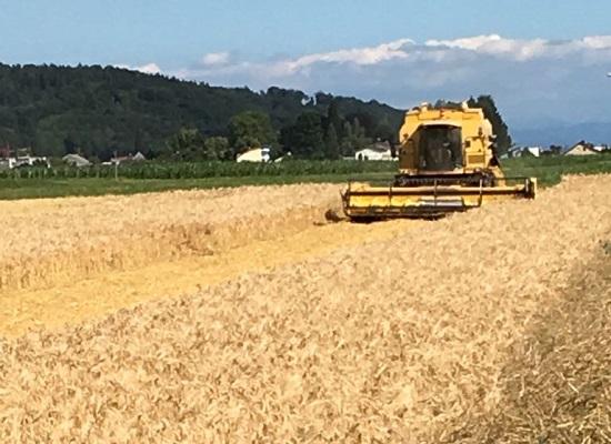 Live Ticker Demofeld 2018 Gerste Ernte