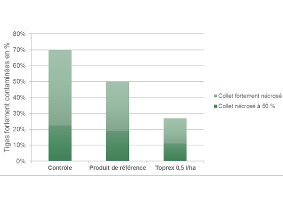 toprex-contaminees-phorma-550x400.png