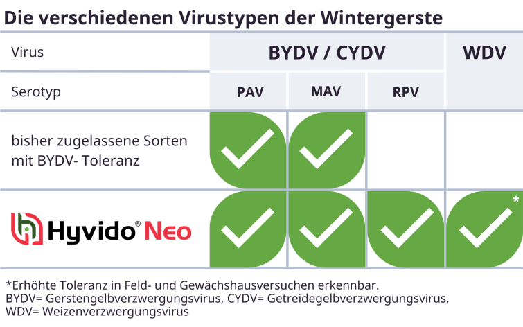 HyvidoNeo Serotypen