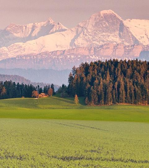 Herbststrategie Wintergetreide Herbststrategie Wintergetreide