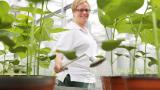 Biomaterial in top Qualität