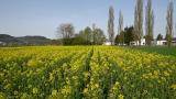 Demofeld Stein 13.04.2022