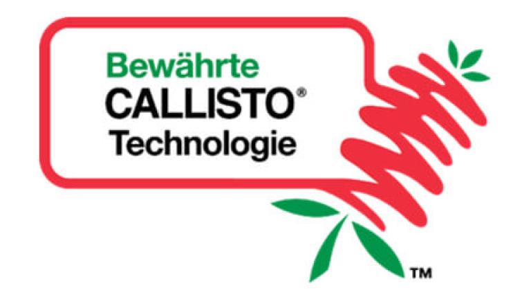Mais Calisto