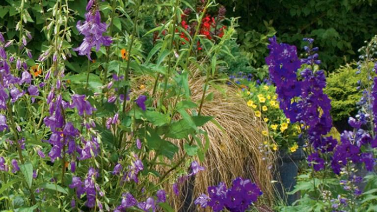 Blumen und Garten
