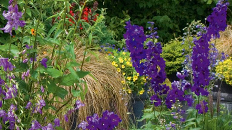 Blumen und Garten