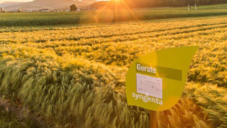 Berufserfahrene Sozialleistungen