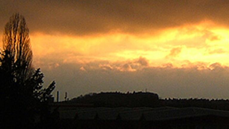 Syngenta Pflanzenschutzwetter