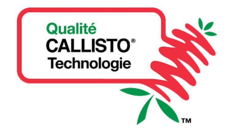 Callisto 