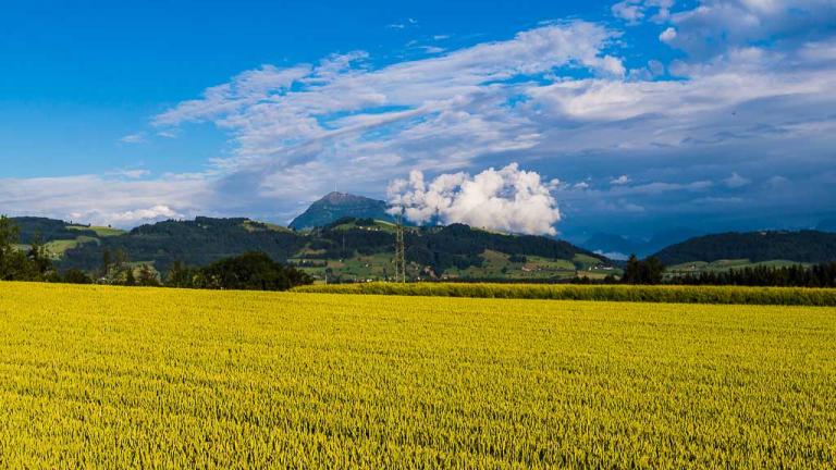 Landschaft Getreide Berge