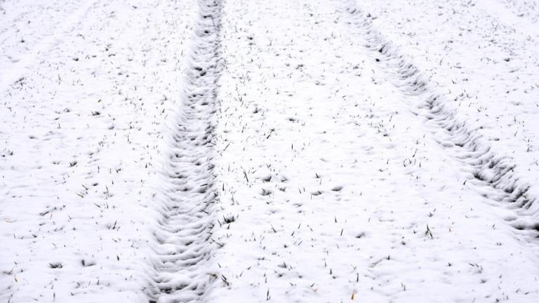 Live Ticker Gerste Schneefall 08.02.2018