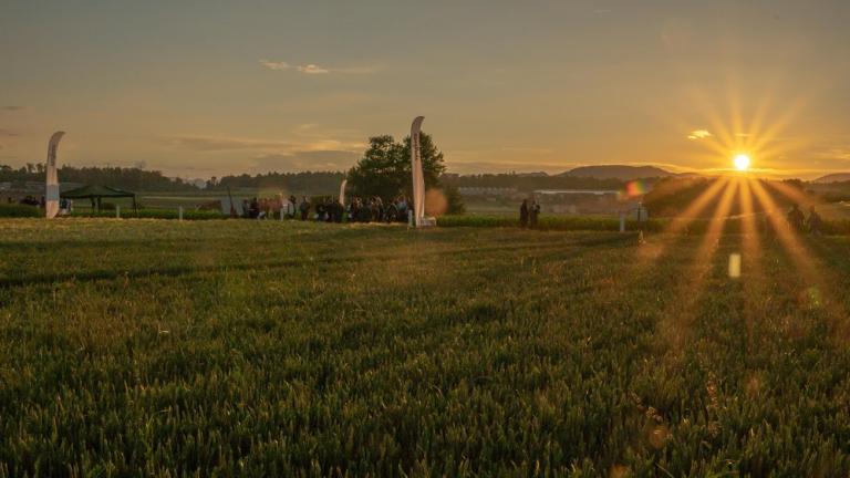 Impressionen Syngenta live im Feld 2018