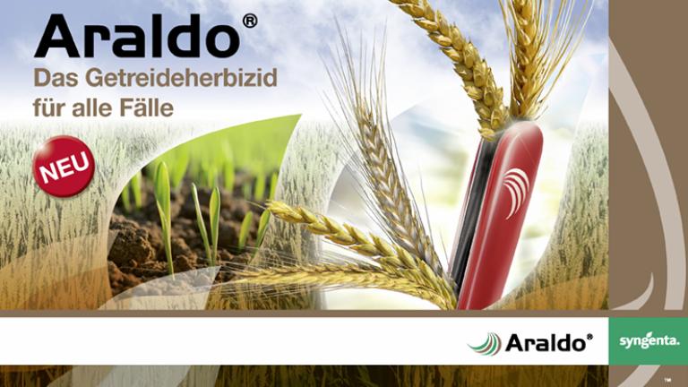 syngenta_banneraraldo_740x470px_d_-_copy.jpg