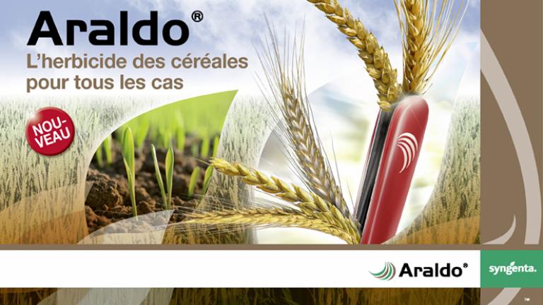 syngenta_banneraraldo_740x470px_f_-_copy.jpg