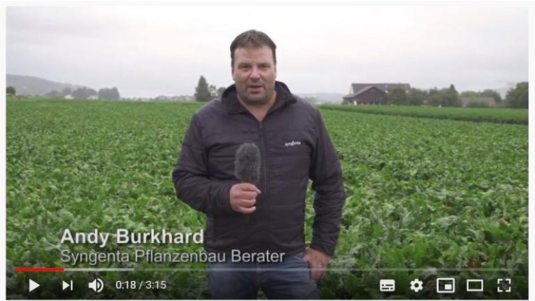 Syngenta Feldbaufilm Woche 39