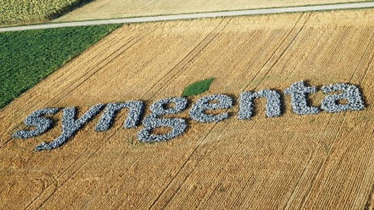 Syngenta Logo im Feld