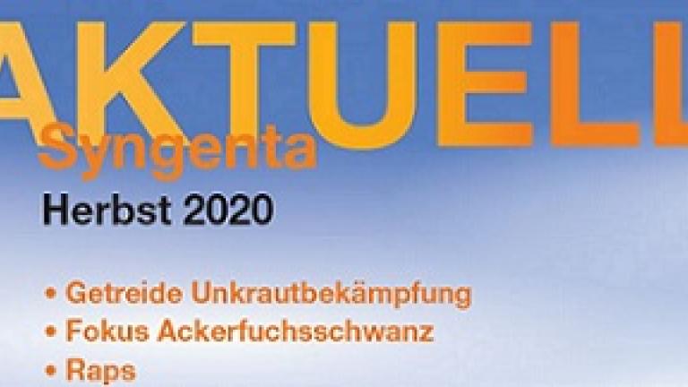 syngaktuellherbst2020.jpg