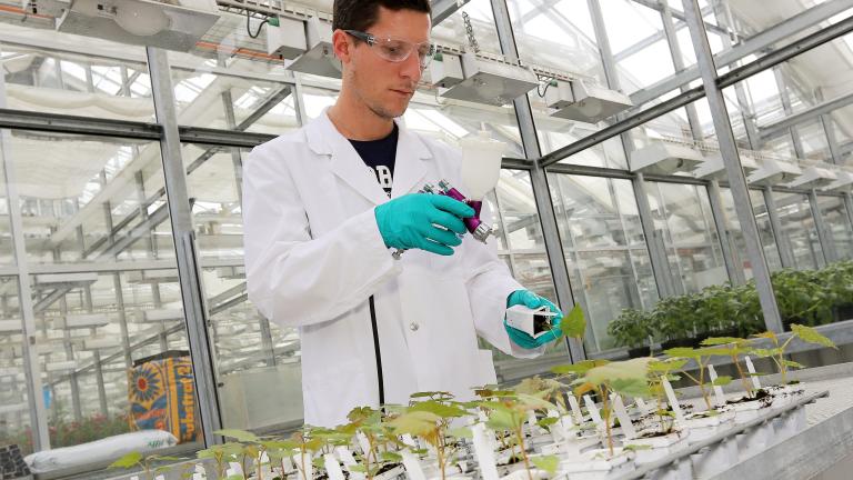 Syngenta Stein Testen zum Erstellen von Aktivitätsprofilen