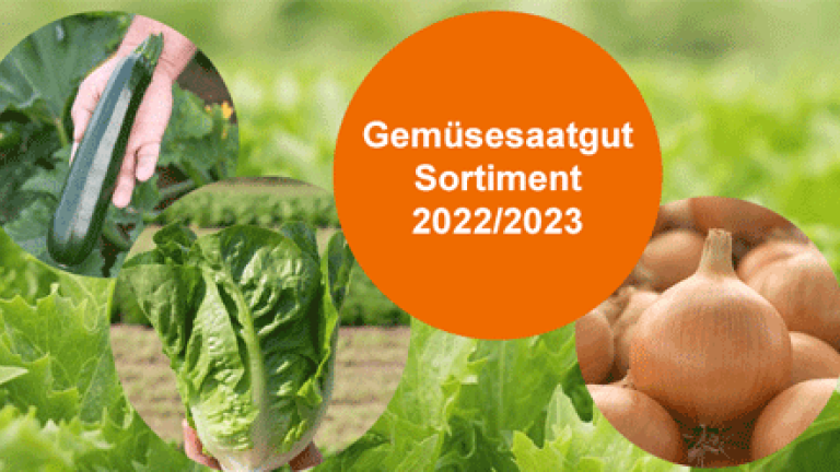 Assortiment de semences de légumes 2022