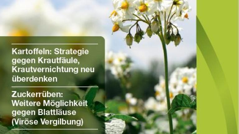 Syngenta Aktuell Feldbau Frühjahr 2022