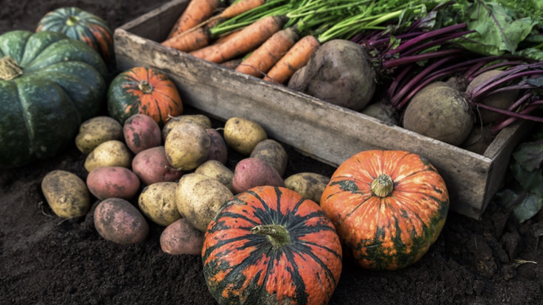 herbstgemuese