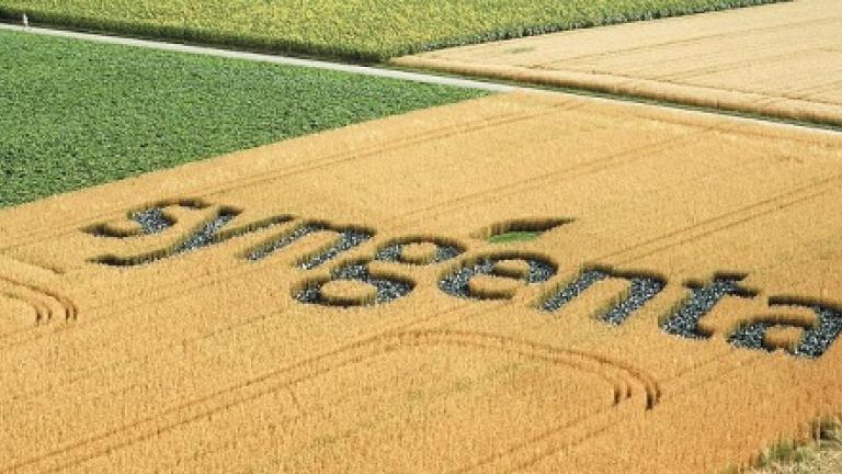 Logo Syngenta Feld