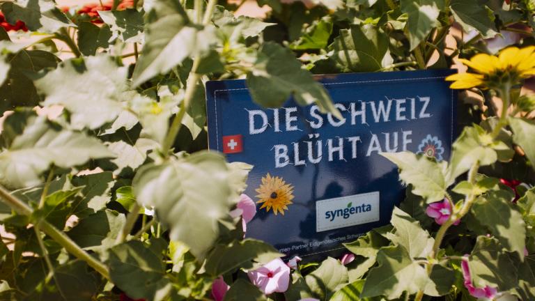 Schwingen_Blumen_Syngenta
